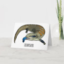 Search for tongue cards Skink