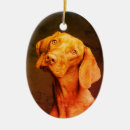 Search for vizsla christmas tree decorations Cute