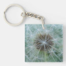 Search for dandelion key rings Floral