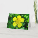 Search for buttercup cards Yellow