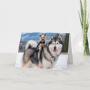 Search for yorkie cards Funny dog