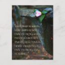 Search for little things postcards Inspirational