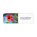 Search for hibiscus flowers return address labels Hawaiian