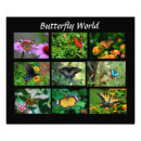 Search for colourful insect posters Floral
