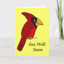 Search for funny cardinals cards Cute