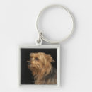 Search for yorkie key rings Nature