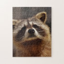 Search for raccoon puzzles Adorable