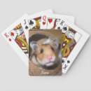Search for hamster lover Mouse