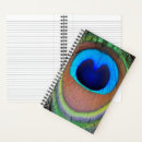 Search for peacock feathers notebooks Colourful