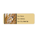 Search for songbird return address labels Chickadee