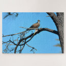 Search for wild bird puzzles Wildlife