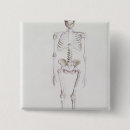 Search for primitive badges Hominid