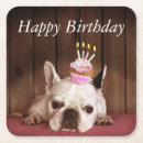 Search for bulldog coasters Animals