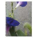 Search for morning glory notebooks For her