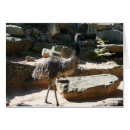 Search for oil photography Australia