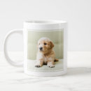 Search for golden retriever puppy mugs Cute baby animal
