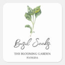 Search for seed labels Herb