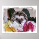 Search for hedgehog posters Animals