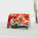 Search for miniature cards Animal