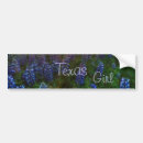 Search for wildflowers bumper stickers Bluebonnets