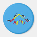 Search for agility magnets Dog