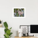 Search for flowering plants posters Botanical