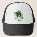 Search for border collies hats Sheepdog