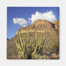 Search for pipe magnets Arizona