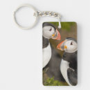 Search for puffin key rings Iceland