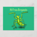 Search for praying mantis postcards Animal
