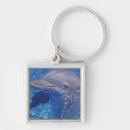 Search for bottlenose dolphin accessories Aquarium