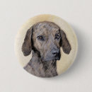 Search for hound puppy badges Pet