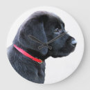 Search for black lab clocks Labrador retriever