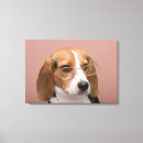 Search for beagle canvas prints Animal