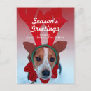 Search for pamper postcards No people
