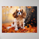 Search for blenheim posters Dog