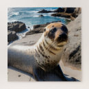 Search for seals puzzles Ocean