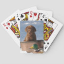 Search for chocolate playing cards Puppy