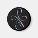 Search for curves magnets Rainbow