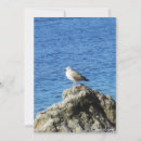 Search for seagull cards Seascape