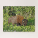 Search for bison puzzles Usa