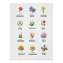 Search for birth month posters Botanical