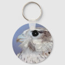 Search for falcons key rings Falconer