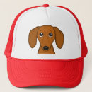 Search for funny dog hats Cute