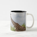 Search for tanzania mugs Horizontal