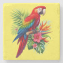 Search for macaws coasters Nature