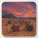 Search for camel barware Sand