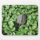 Search for baby turtle mousepads Green