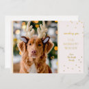 Search for metallic christmas cards Foil