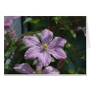 Search for moser Flowers